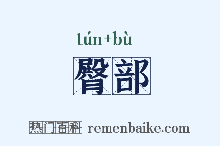 臀部是什么意思的图片
